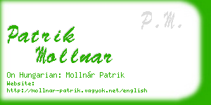 patrik mollnar business card